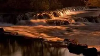 Shpongle Positive Experience.mp4