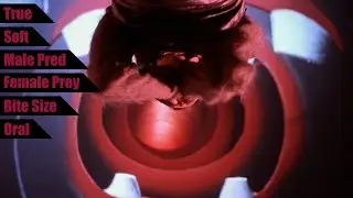 Inside a Bear - Human Behaviour (Bj&ouml;rk) | Vore in Media
