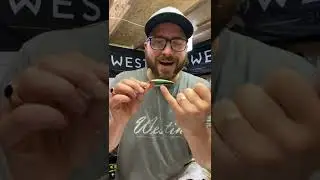 Crankbait tips for summer