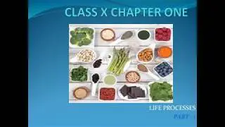 Nutrition Life Processes By Sharp Mind