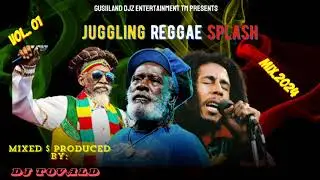 Trending TikTok Reggae Songs 2024 Dj tovald (Juggling reggae splash vol.1)