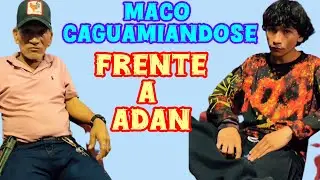 #maco caguamiandose frente a #Adan 