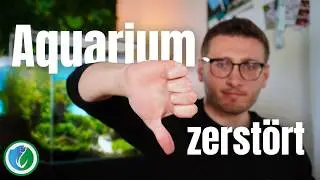 5 No-Gos, die dein Aquarium ruinieren!