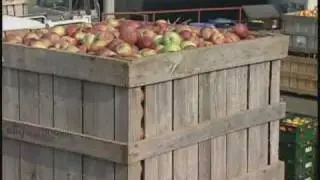 Keith Bishop - Bishop's Orchards, Guilford