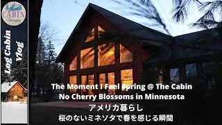 No Cherry Blossoms in Minnesota/The Moment I Feel Spring @ The Cabin/アメリカ暮らし/桜のないミネソタで春を感じる瞬間＠キャビン