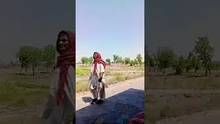 #livetrucking