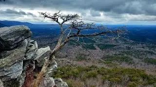 Alabama's Highest Point | Cheaha State Park
