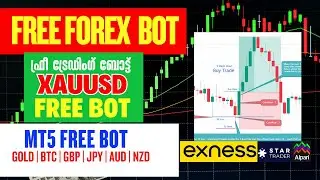 New Forex Gold -XAUUSD B0T Free - Forex Trading Class Malayalam  -  Range Sweep MT5 Free B0T