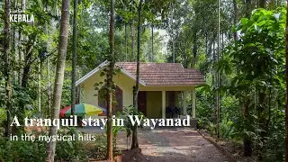 A tranquil stay in Wayanad in the mystical hills