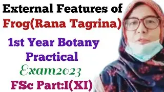 External Features Of Frog(Rana Tigrina) Zoology Practical XI Examination 2023