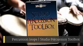 Percussion Loops and Samples from BetaMonkey