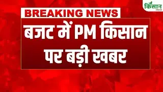 Budget 2026 में PM Kisan पर बड़ी खबर, किसानों को तोहफा!| Nirmala Sitharaman | Union Budget 2026-2027