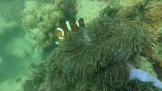 DANGLI ISLAND AND KILIM , LANGKAWI