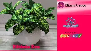Filtonia de Eva arranjos de folhas