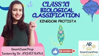 Biological Classification Part 3 Kingdom Protista | NCERT Line-to-Line Explanation| Class XI Biology