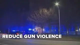 Task Force aims to reduce gun violence
