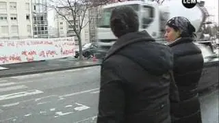 Flamants: pi&eacute;tons en danger (Marseille)