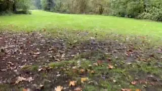 McIver Park XC Course Tour