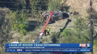 Cause Of Tiger Woods SUV Crash Determined