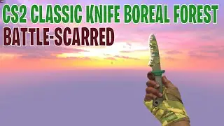 Classic Knife Boreal Forest (Battle-Scarred) | CS2 Skin Showcase #474