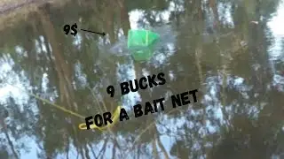 KMART $9 COLLAPSIBLE BAIT NET ( Is it worth It )
