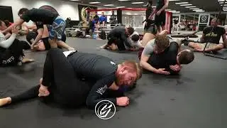 Gabe Roll With Lauren At Ten Round Tuesday