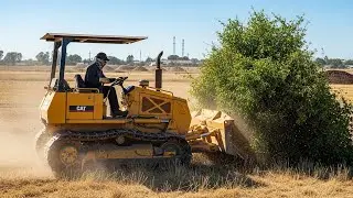 Powerful Bulldozer Clearing Wild Land Step by Step