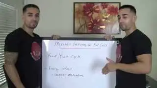 Metabolic Positioning for Enhanced Fat Loss