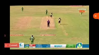 vincy t10 live