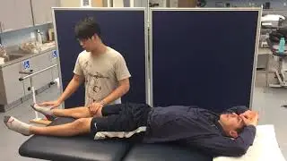 LE D1&D2 Flexion/Extension PNF patterns