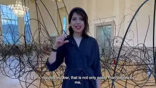 Meet the Artist: Rosana Antol&iacute;