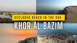 Escape to Khor Al Bazim | Crabbing, BBQ & Camping in the UAE! |Mirfa #uae #abudhabi 