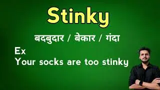 Stinky meaning in Hindi