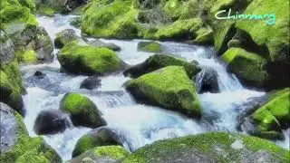 Relax ,Enjoy Everymoment ,get used everything
