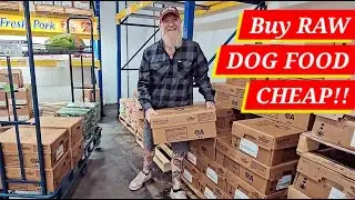 Stop Overpaying! The Secret to Affordable Raw Dog Food Cheaper Than Kibble!