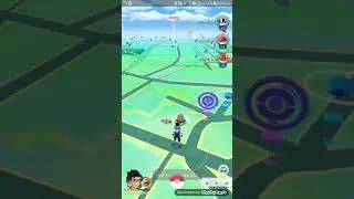 best place for jynx and mudkip nest ....#😎