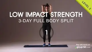 3-Day Split Low Impact Strength - Workout #1