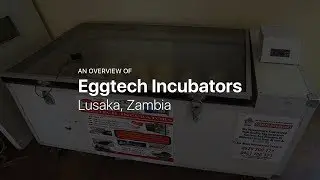 Eggtech Incubators &mdash; Poultry rearing equipment in Lusaka, Zambia