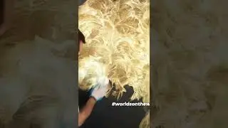 Amazing Paint Rubber Metallic Gold  Wall Art #walldecor #painting #wallart  #duvardekorasyonu