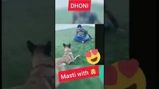 MS Dhoni in Lockdown masti with Dog❤️ #Shorts