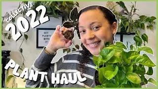 2022 Plant HAUL | All of the Plants I Have Purchased This Year