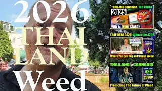 Cannabis in Thailand 2026 🇹🇭 | Laws, Where to Smoke, and What Tourists Need to Know