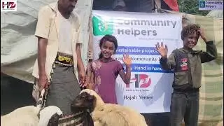 Empowering Displaced Families in Yemen: Self-Sustainable Livelihood Project