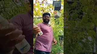 വീട്ടിലിരുന്ന നമുക്കും ഇനി ലക്ഷങ്ങൾ സമ്പാദിക്കാം എങ്ങനെയാണെന്ന് കണ്ട് പഠിക്കാം🤷🏻‍♀️