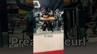 Beginner Back and Biceps day workout | Easy workout #backdayworkout #backandbicepsworkout