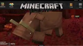 The Piglin Beast has a new name!!!!! (Minecraft 1.16)