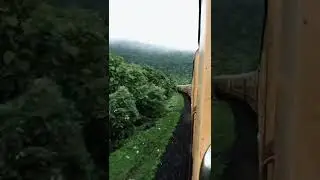 📍Dharakhoh Waterfall Railway Viewpoint Betul 😍😱 | #viral #ytshort #waterfall