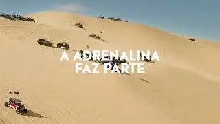 Vector - Off Road 04