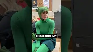 no frogs were harmed in the making of this video