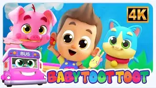 Fare Hai Un Animale Domestico | Raccolta Of Canzone Per Prescolares - Babytootoot